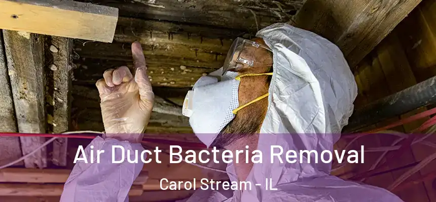 Air Duct Bacteria Removal Carol Stream - IL