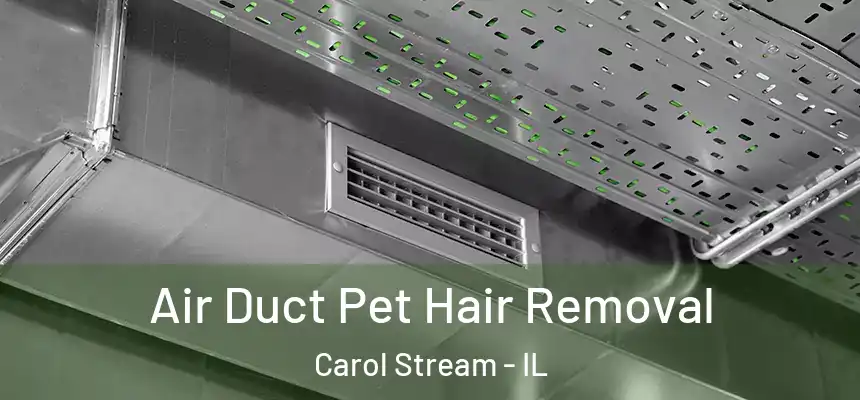 Air Duct Pet Hair Removal Carol Stream - IL
