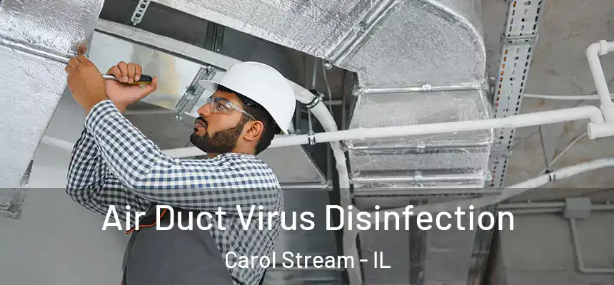  Air Duct Virus Disinfection Carol Stream - IL
