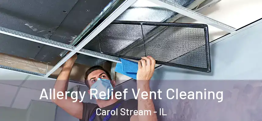 Allergy Relief Vent Cleaning Carol Stream - IL