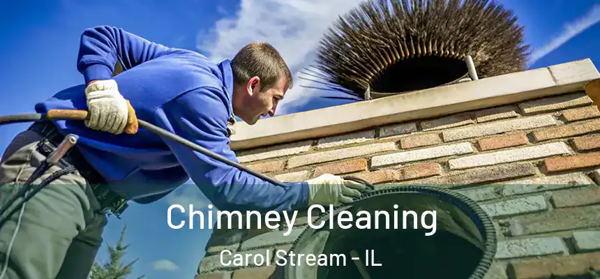 Chimney Cleaning Carol Stream - IL