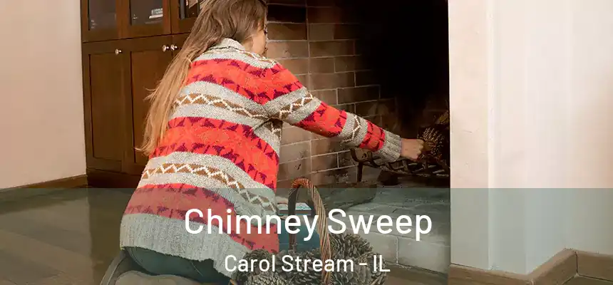 Chimney Sweep Carol Stream - IL