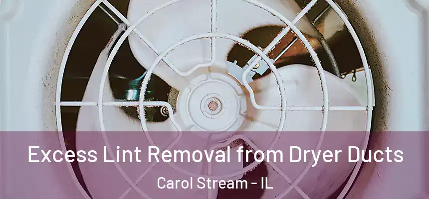  Excess Lint Removal from Dryer Ducts Carol Stream - IL