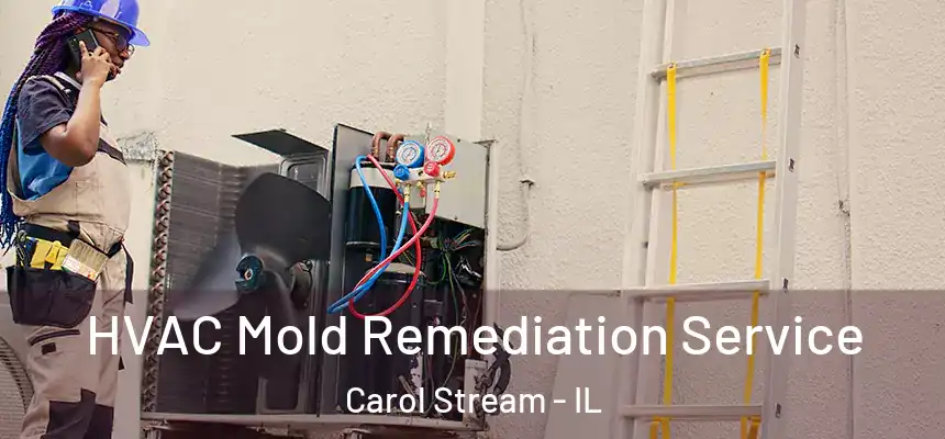  HVAC Mold Remediation Service Carol Stream - IL