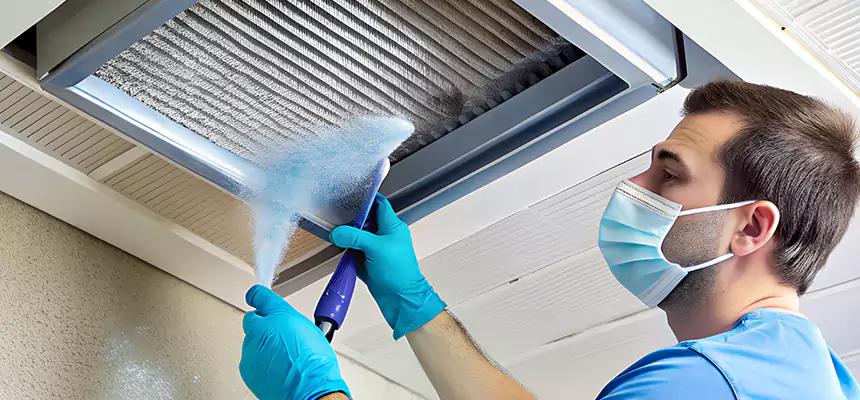 Proactive Dryer Vent & Auxiliary Duct Pollen Cleanup in Carol Stream, IL
