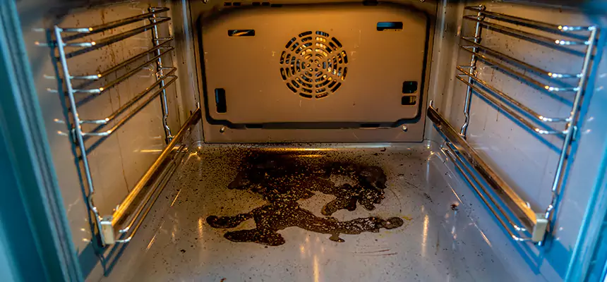 Our Dryer Vent Mold Cleaning Services in Carol Stream, IL