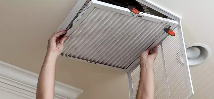 Our Insect Removal from Air Ducts Services in Carol Stream, IL