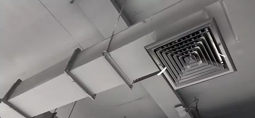 Our Rodent Droppings In Vents Services in Carol Stream, IL