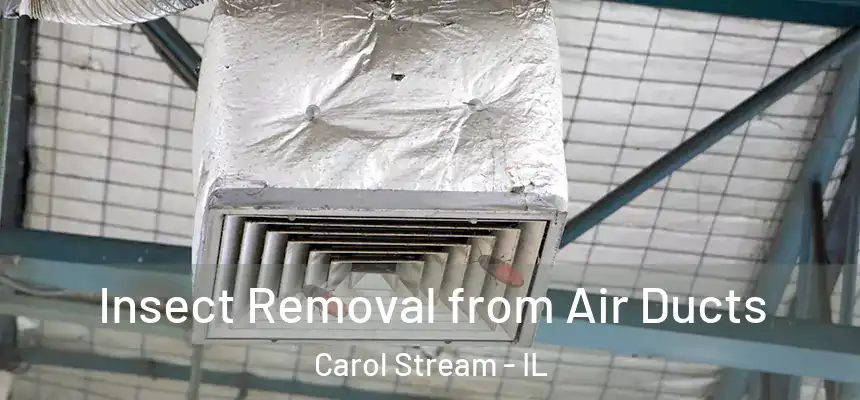 Insect Removal from Air Ducts Carol Stream - IL