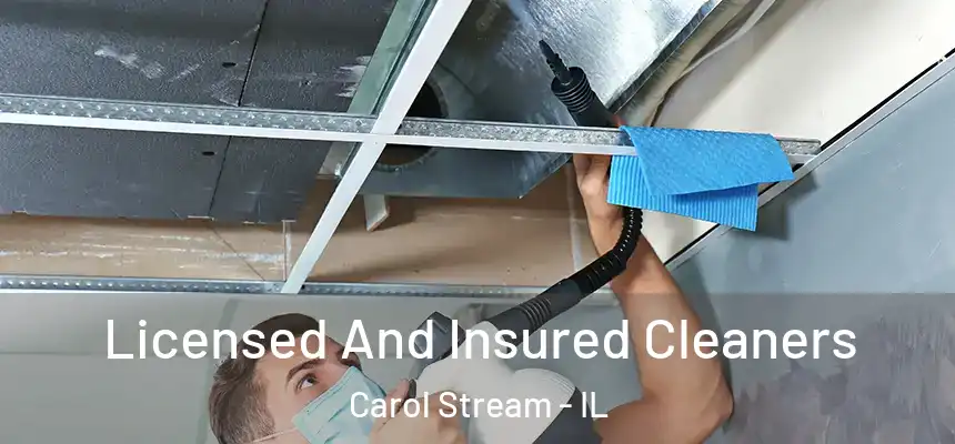 Licensed And Insured Cleaners Carol Stream - IL