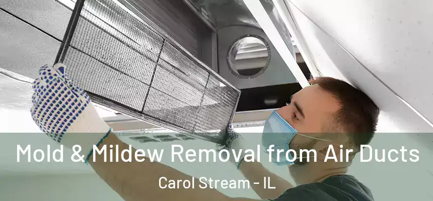  Mold & Mildew Removal from Air Ducts Carol Stream - IL