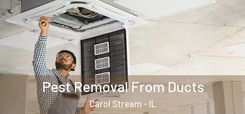 Pest Removal From Ducts Carol Stream - IL