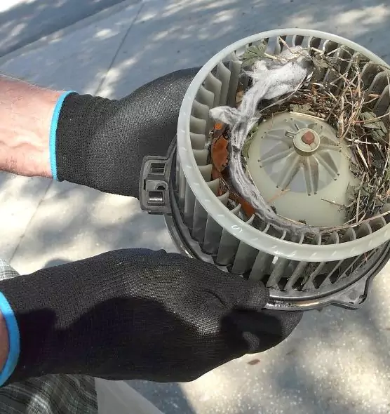 About Air Duct Mice Removal in Carol Stream, IL