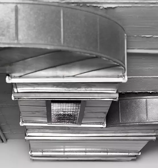 Professional Air Duct Pest Removal in Carol Stream, IL