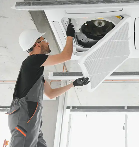 About Air Duct Rodent Removal in Carol Stream, IL