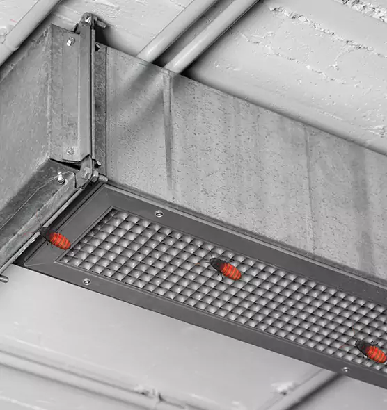Affordable Insect Removal from Air Ducts in Carol Stream, IL
