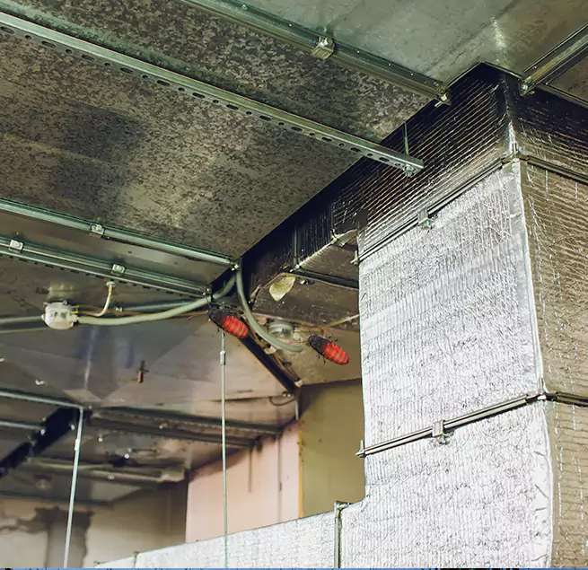 Why Homeowners & Businesses Trust Us in Carol Stream, IL?