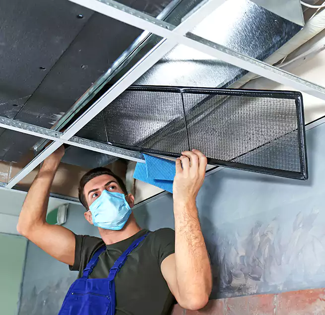 Why Homeowners Businesses Trust Us in Carol Stream, IL