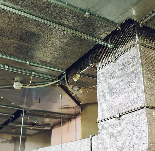 Why Homeowners & Businesses Trust Us in Carol Stream, IL?